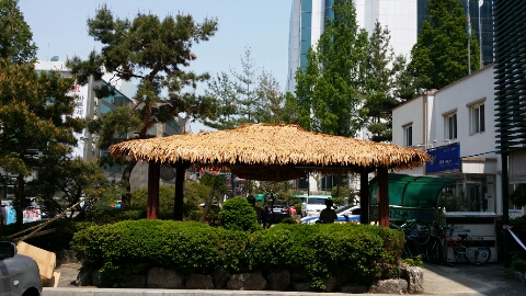 20140501_115625.jpg