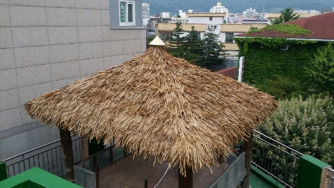 20140610_154407.jpg